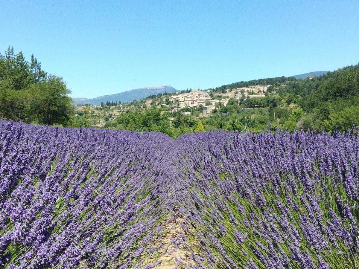 Le Mas Des Lavandes Sault-de-Vaucluse Exterior foto
